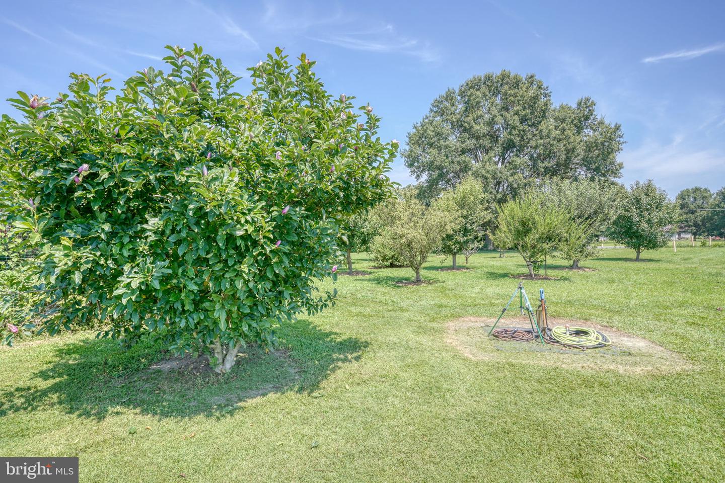 994 Vernon Rd Property Photo 19
