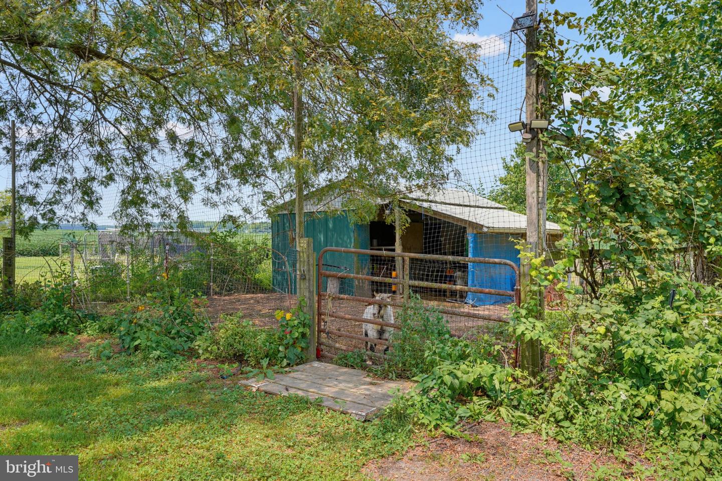 994 Vernon Rd Property Photo 82