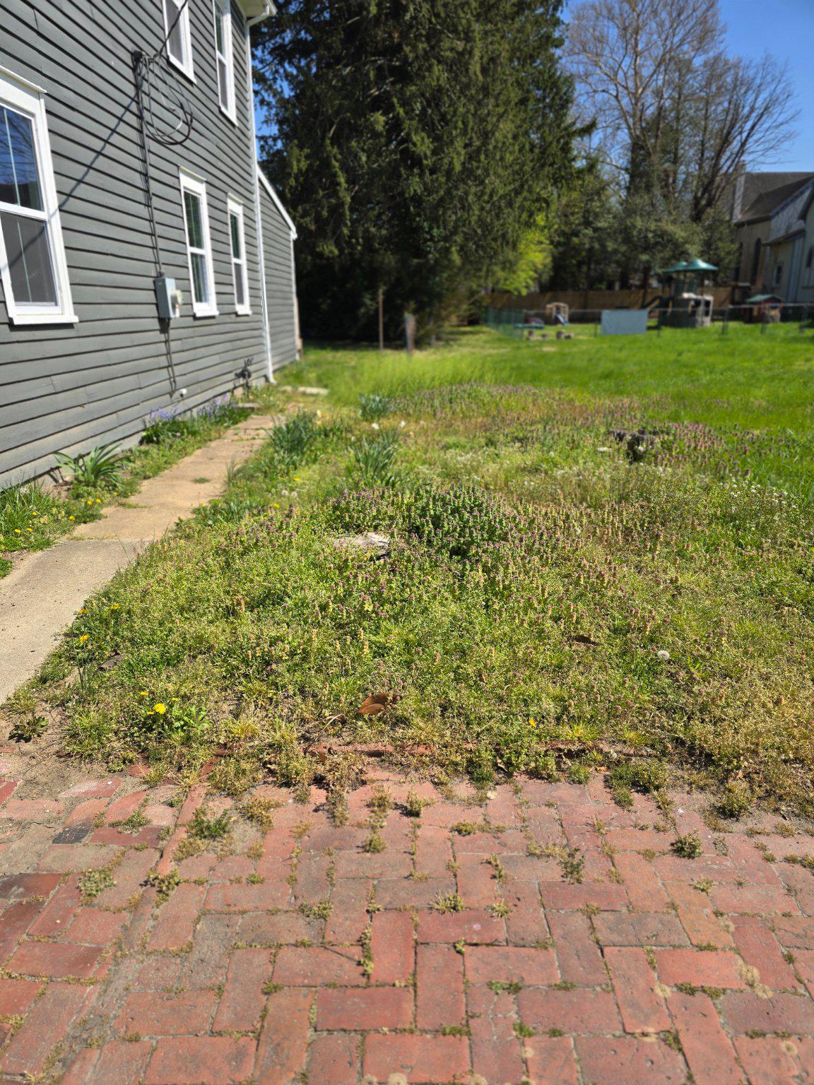 121 W Mount Vernon St Property Photo 21