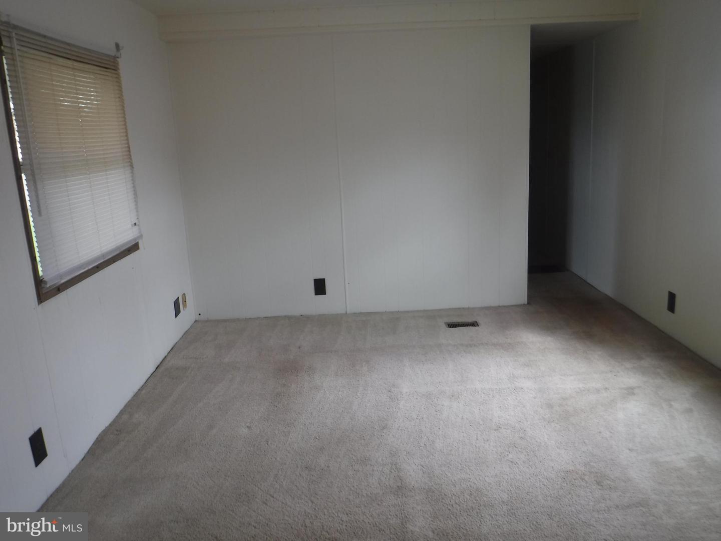 53 Shamrock Ave Property Photo 12