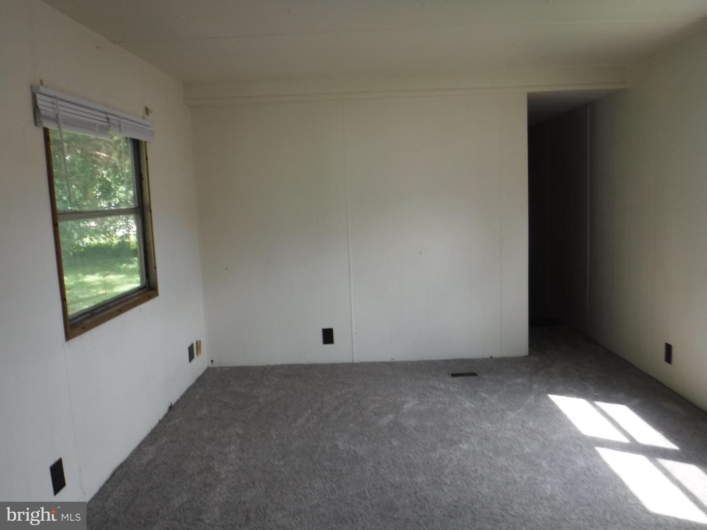 53 Shamrock Ave Property Photo 19