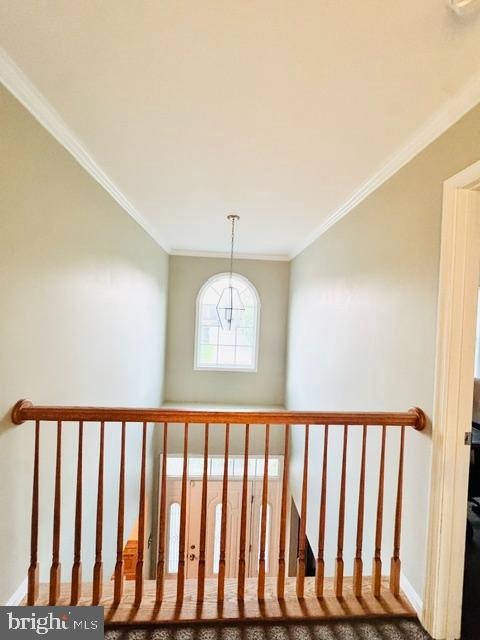 329 Gillibrook Ln Property Photo 18
