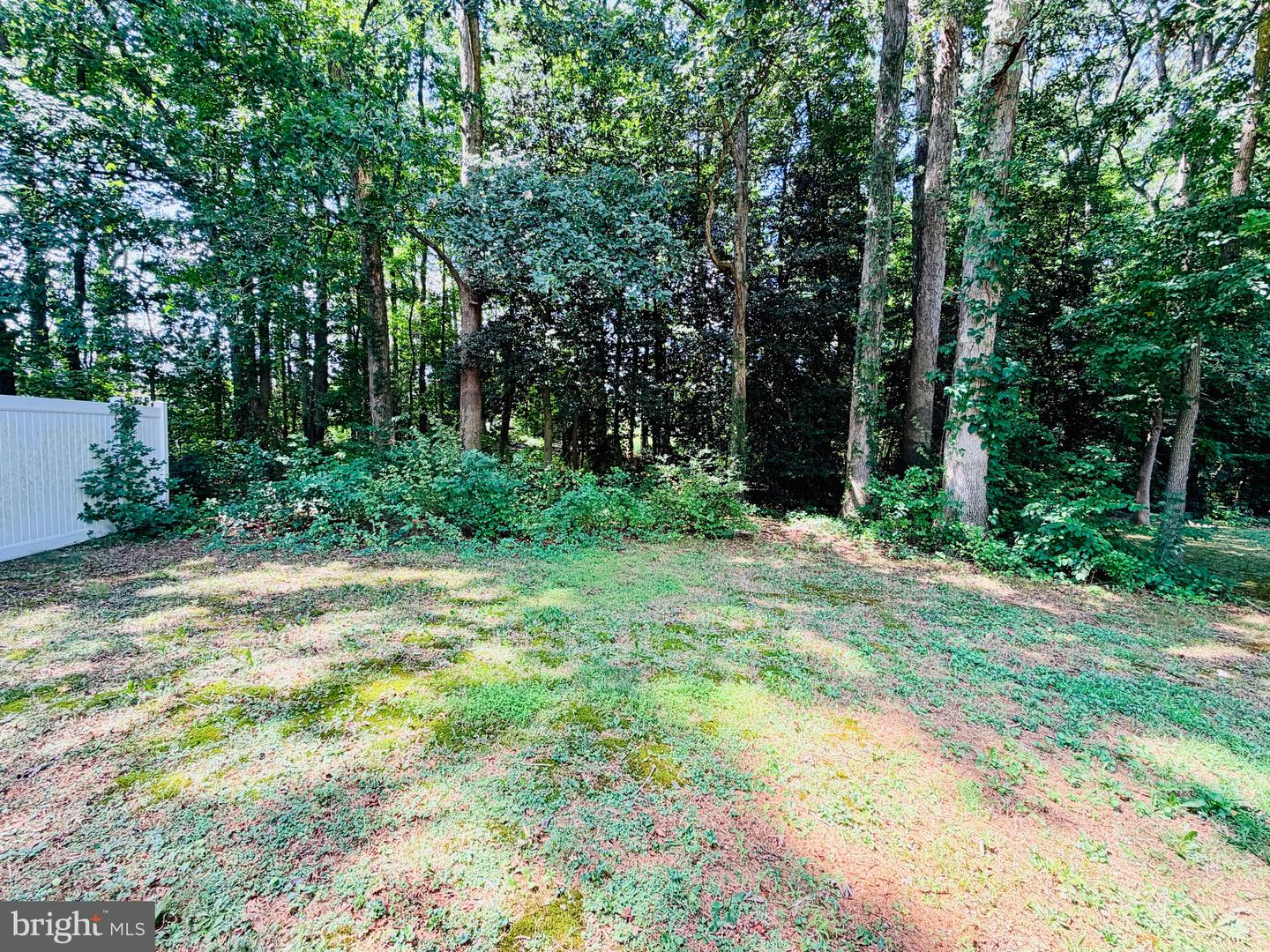 168 Stoney Dr Property Photo 23