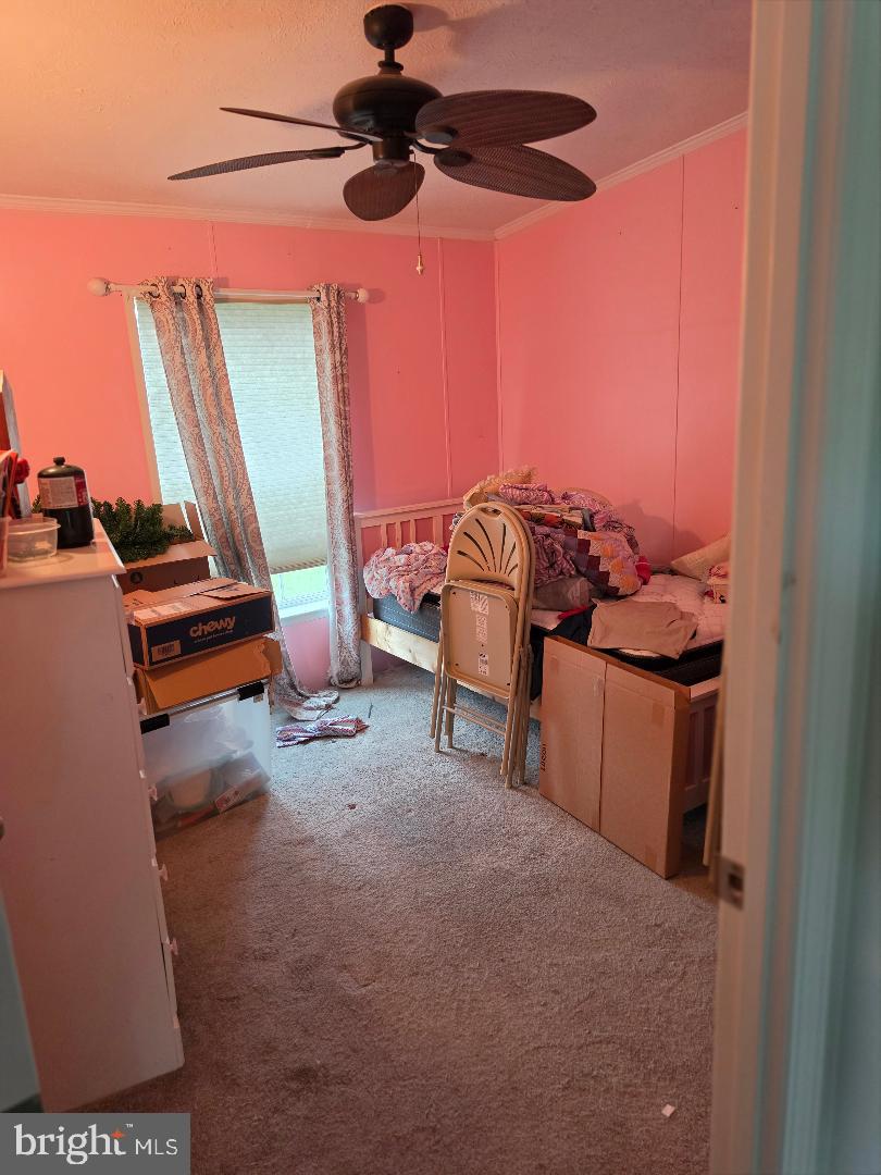 100 Piedmont Dr #224 Property Photo 21