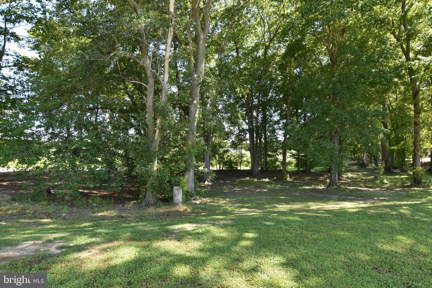 1655 Hickman Rd Property Photo 31