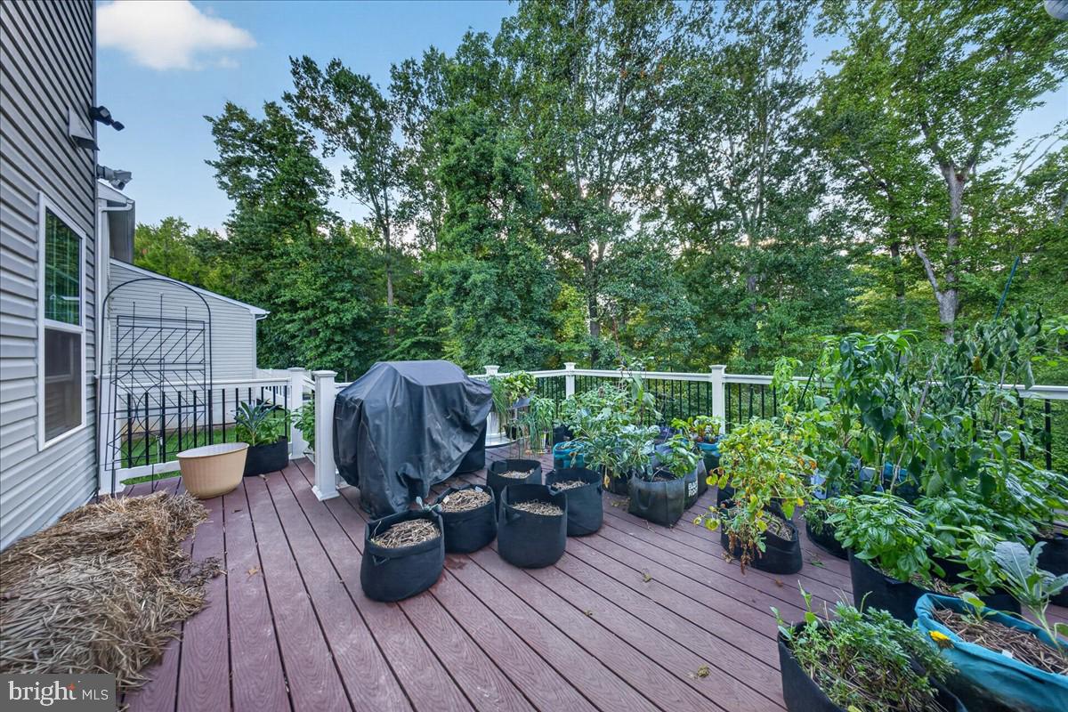 397 Boggs Run Property Photo 41