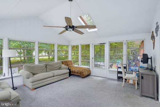 82 Baltusrol Rd Property Photo 23