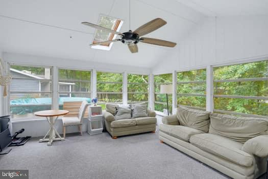 82 Baltusrol Rd Property Photo 24