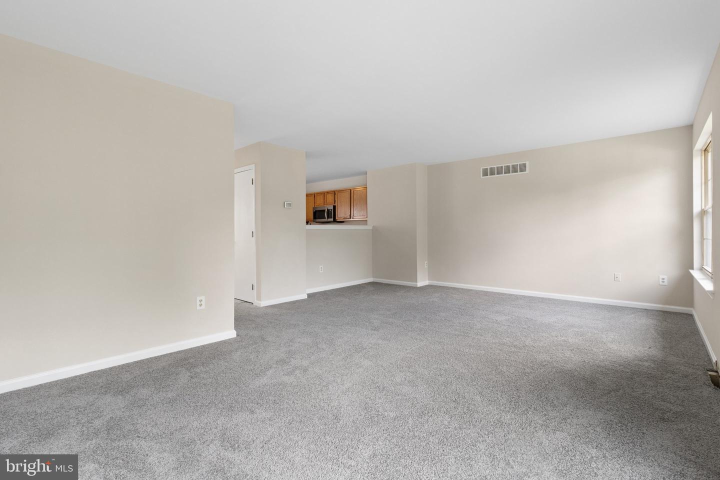 325 Charring Cross Dr Property Photo 9