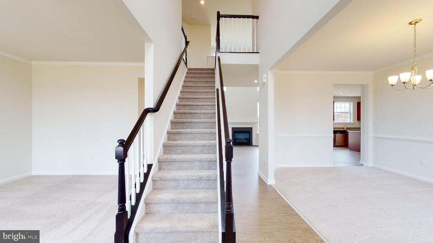 1153 Charleston Cir #charleston Property Photo 2