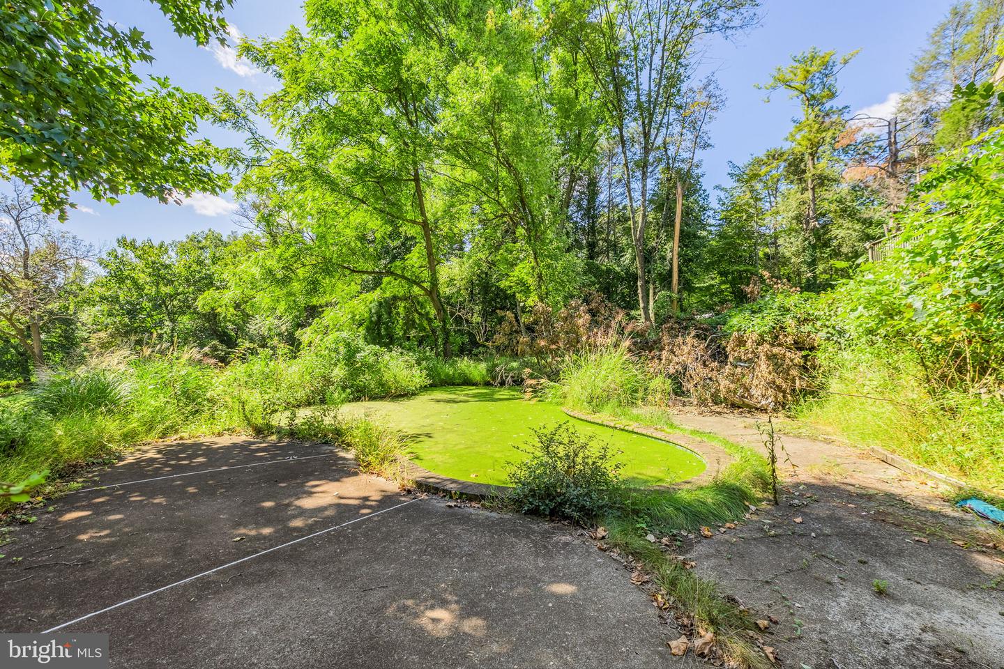 9 Walnut Ridge Rd Property Photo 8