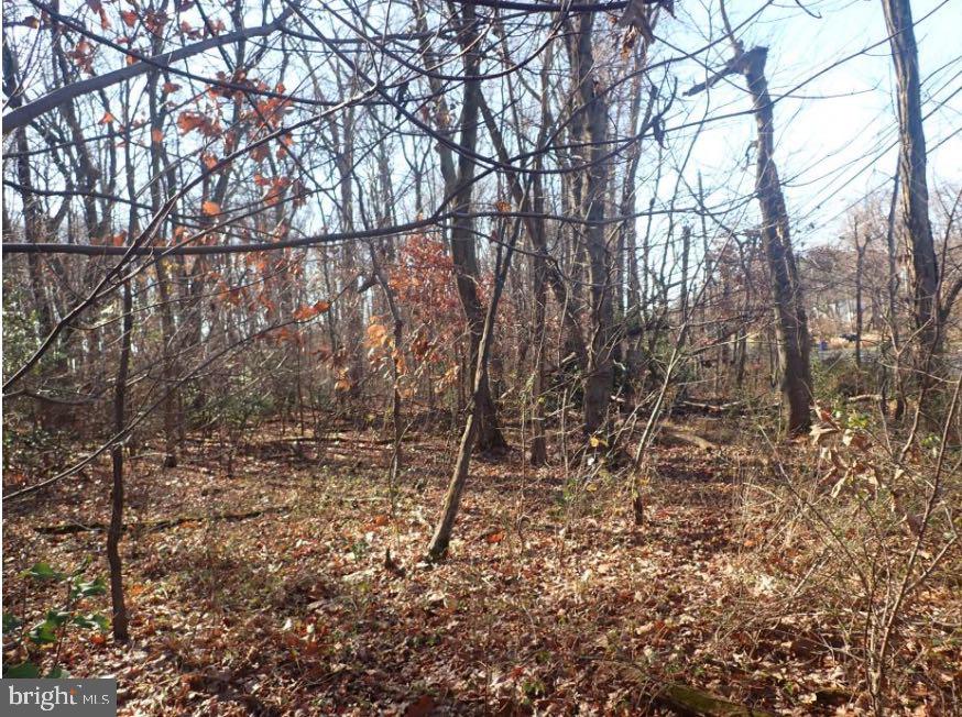0 River Rd Property Photo 2