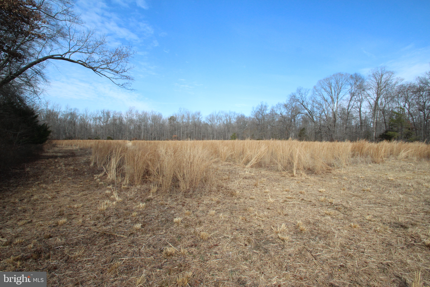 0 Dexter Corner Rd Property Photo 1