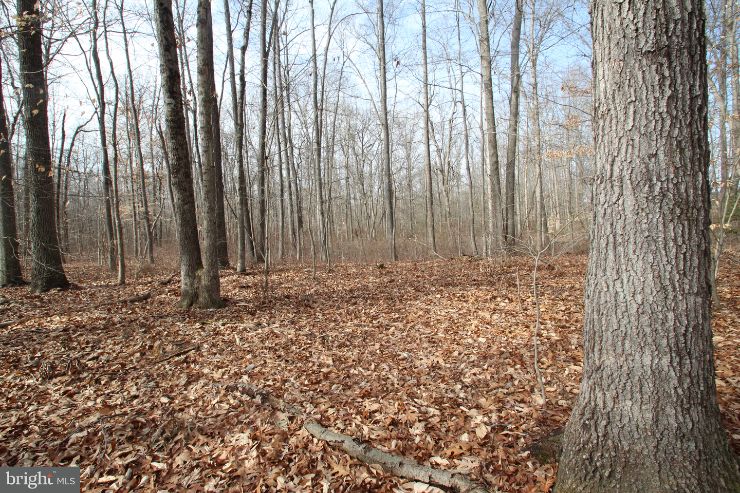 0 Dexter Corner Rd Property Photo 3
