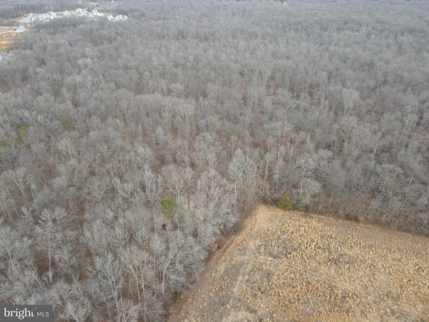 0 Dexter Corner Rd Property Photo 6