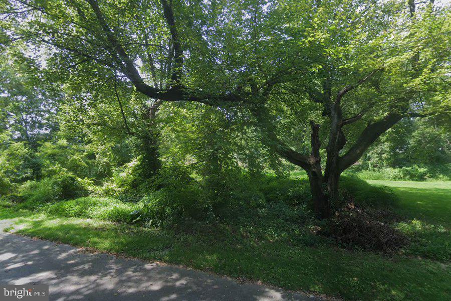 305 Poplar Ave Property Photo 1