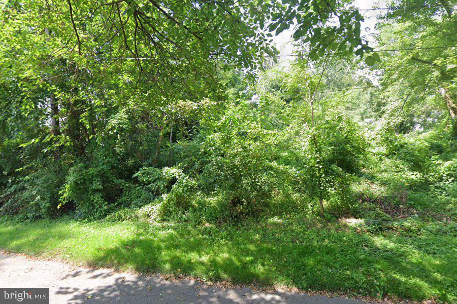 305 Poplar Ave Property Photo 2