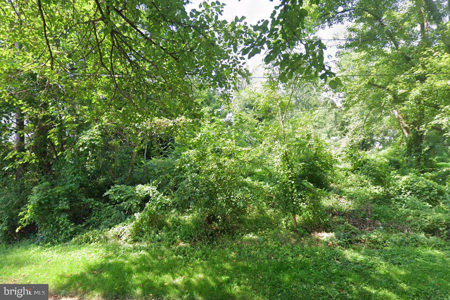 305 Poplar Ave Property Photo 4