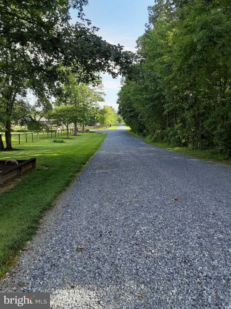 1966 Vandyke Greenspring Rd Property Photo 44