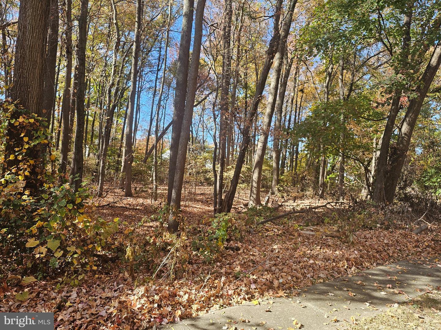 179 Christiana Property Photo 3