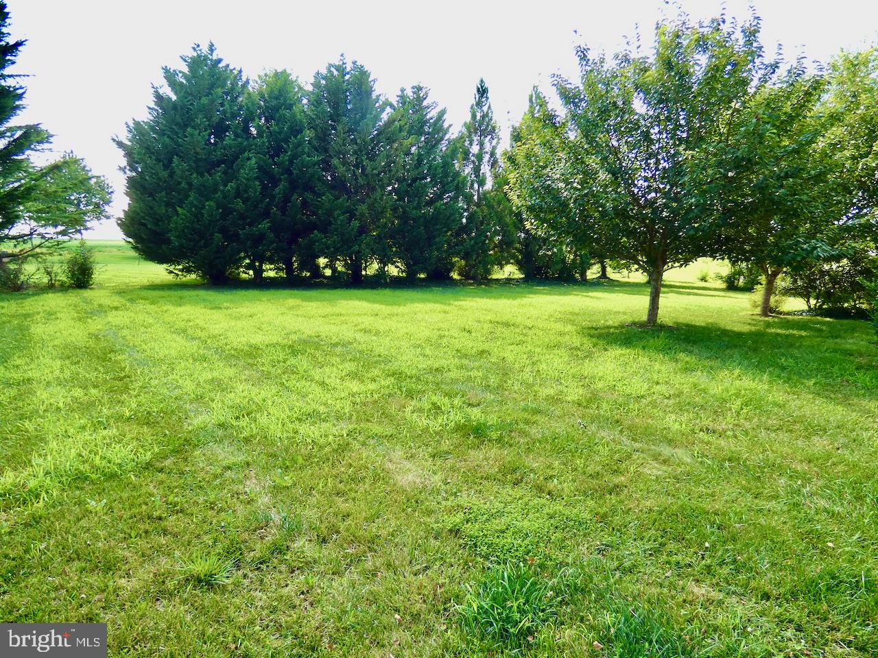 20 W Kilts Ln Property Photo 77