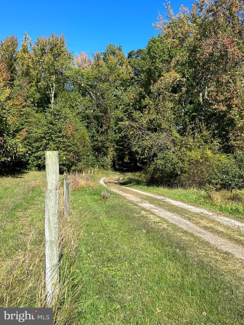 1038 Fieldsboro Rd Property Photo 8