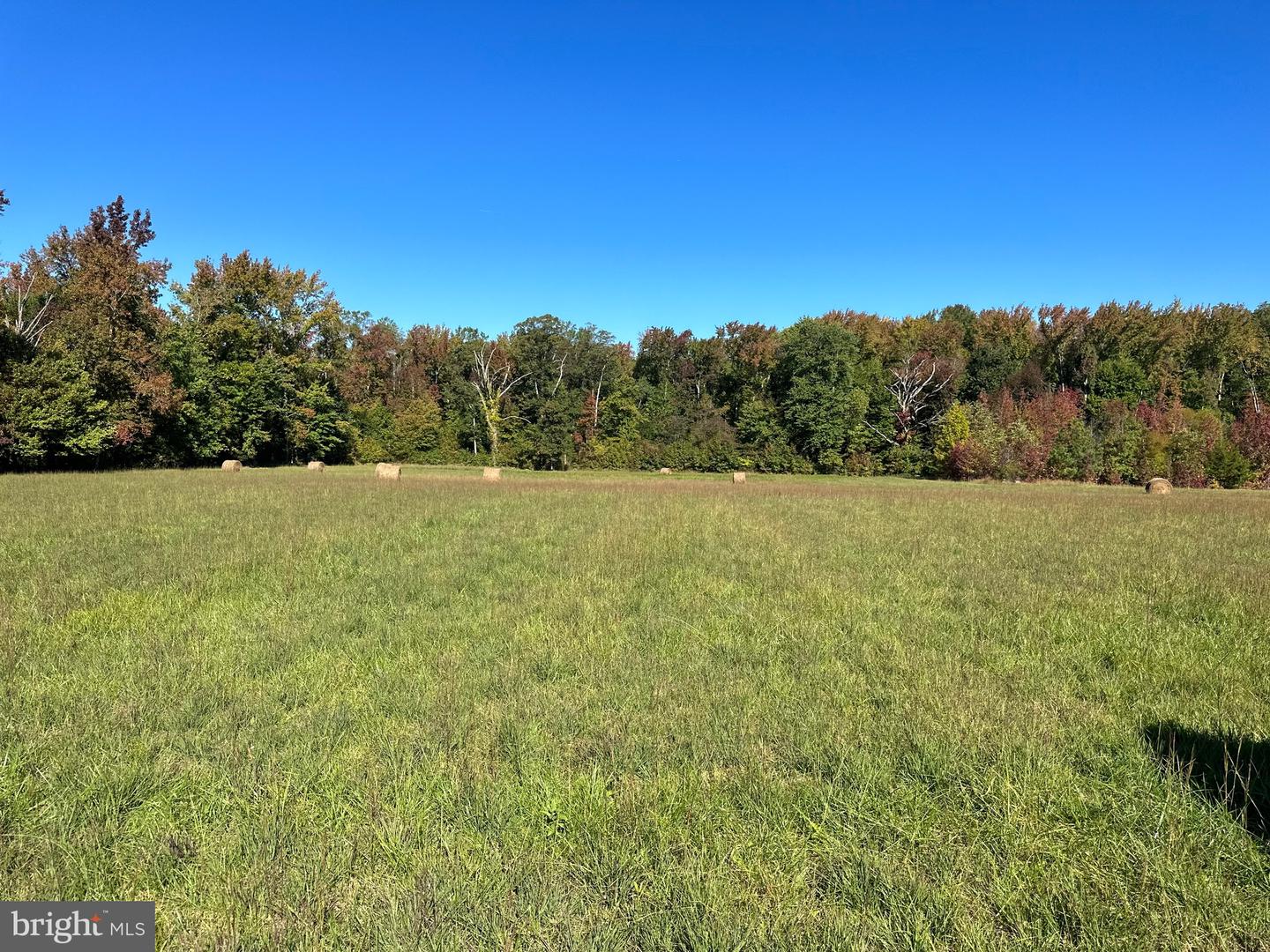 1038 Fieldsboro Rd Property Photo 18