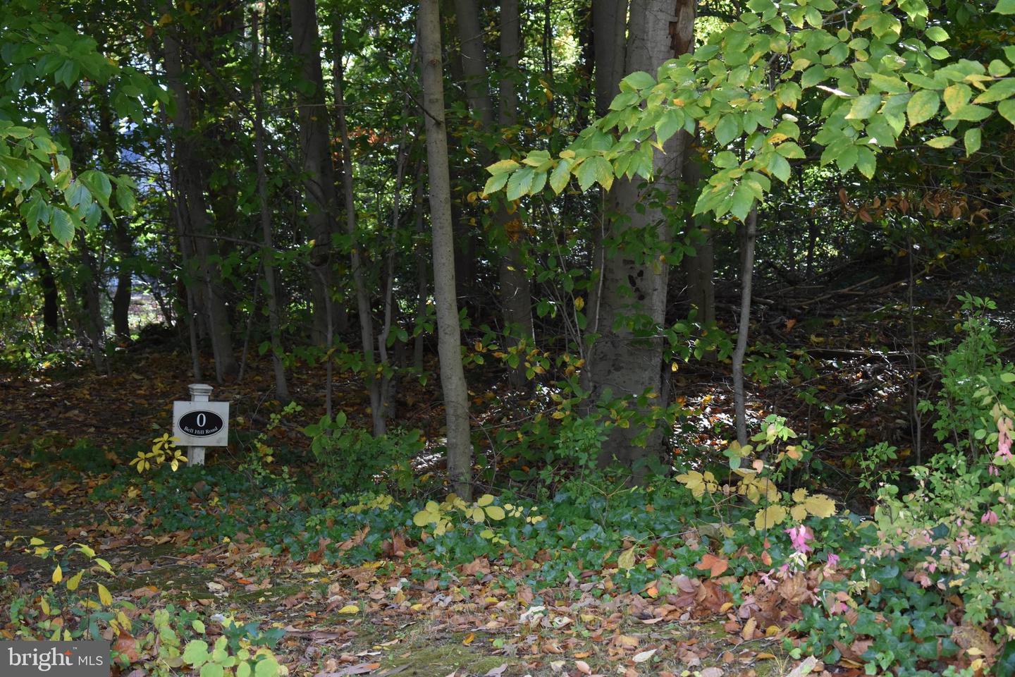 0 Bell Hill Rd Property Photo 2