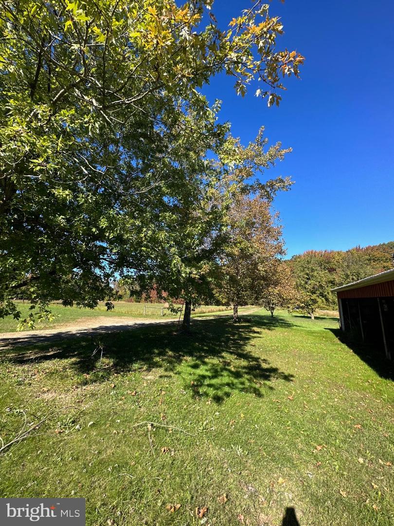 1038 Fieldsboro Rd Property Photo 5