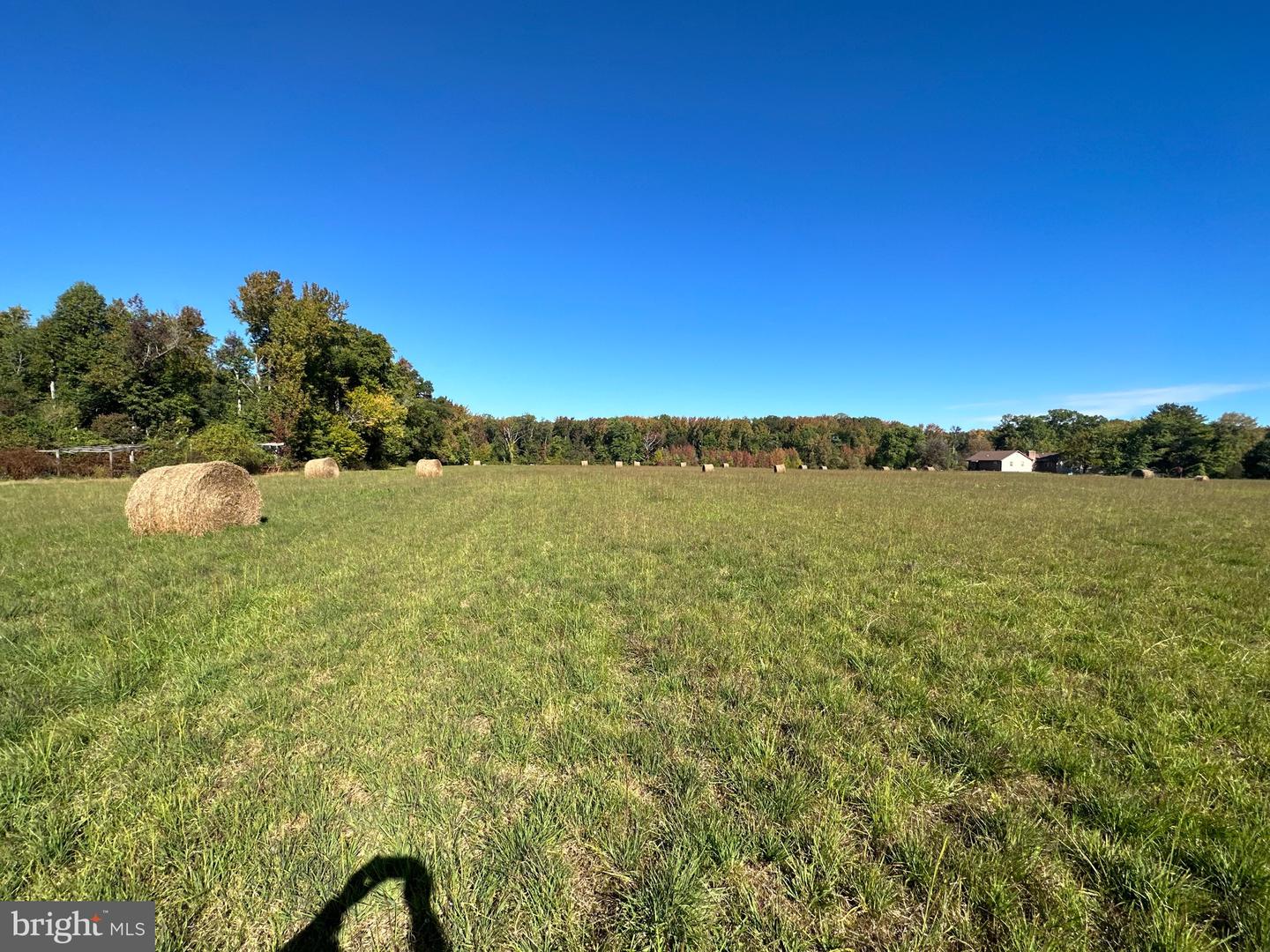 1038 Fieldsboro Rd Property Photo 13