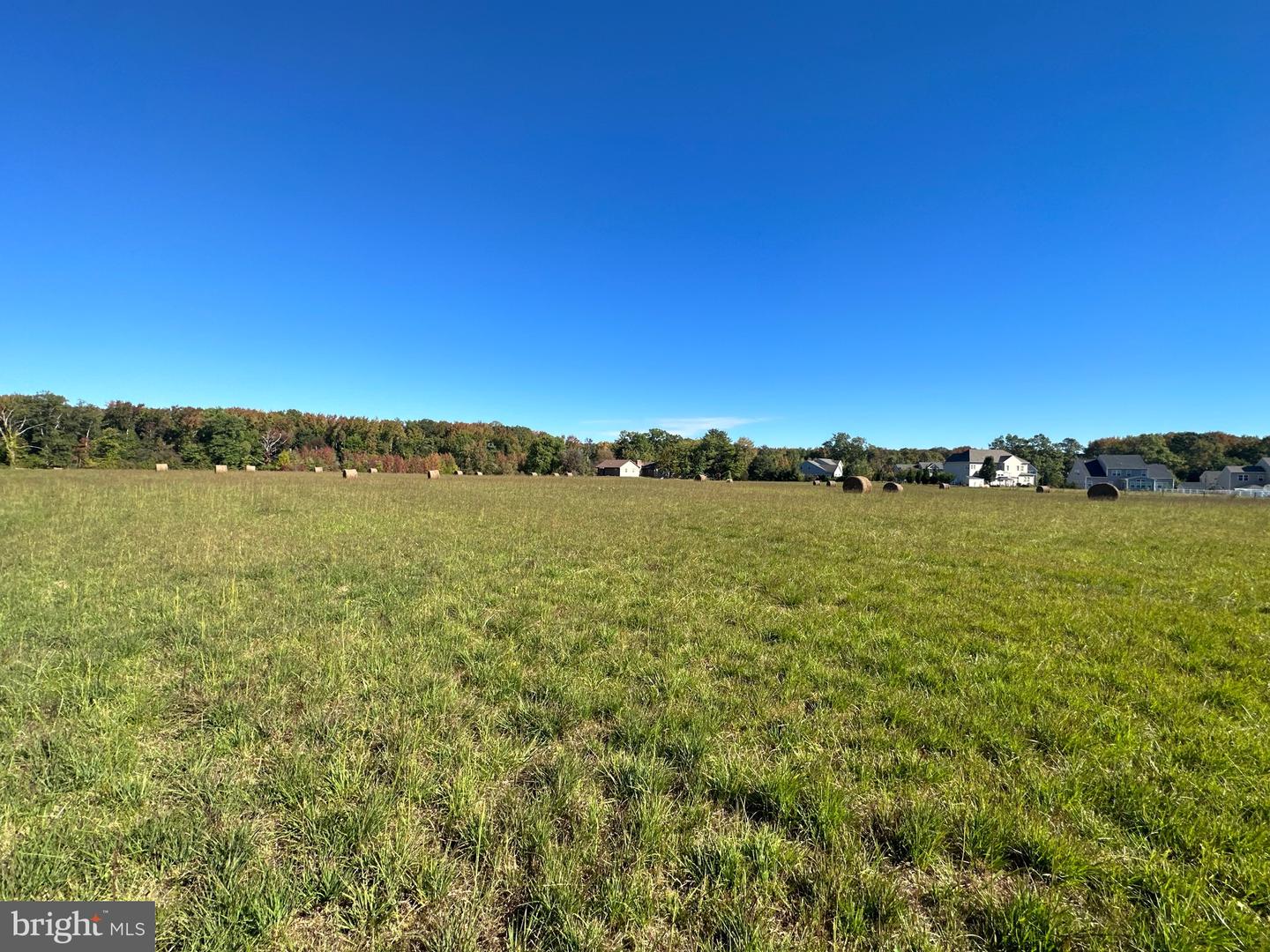 1038 Fieldsboro Rd Property Photo 14