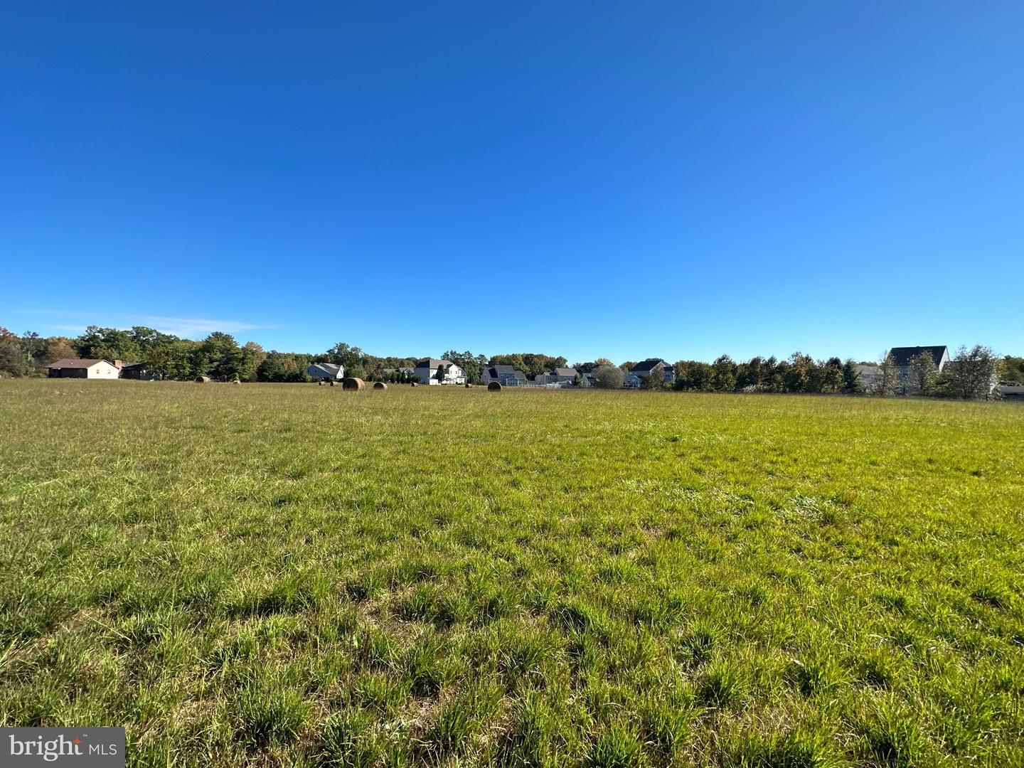 1038 Fieldsboro Rd Property Photo 15