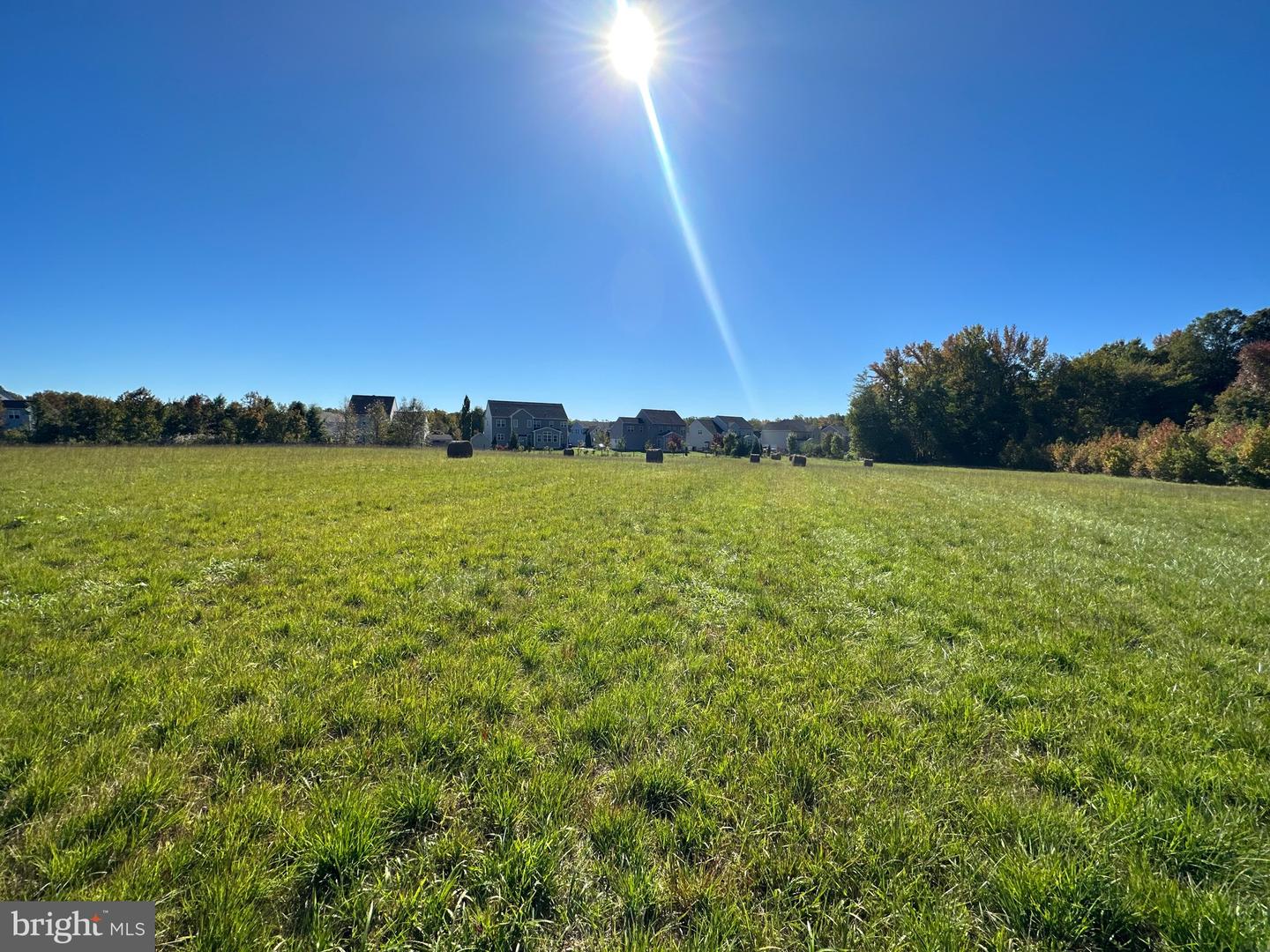 1038 Fieldsboro Rd Property Photo 16