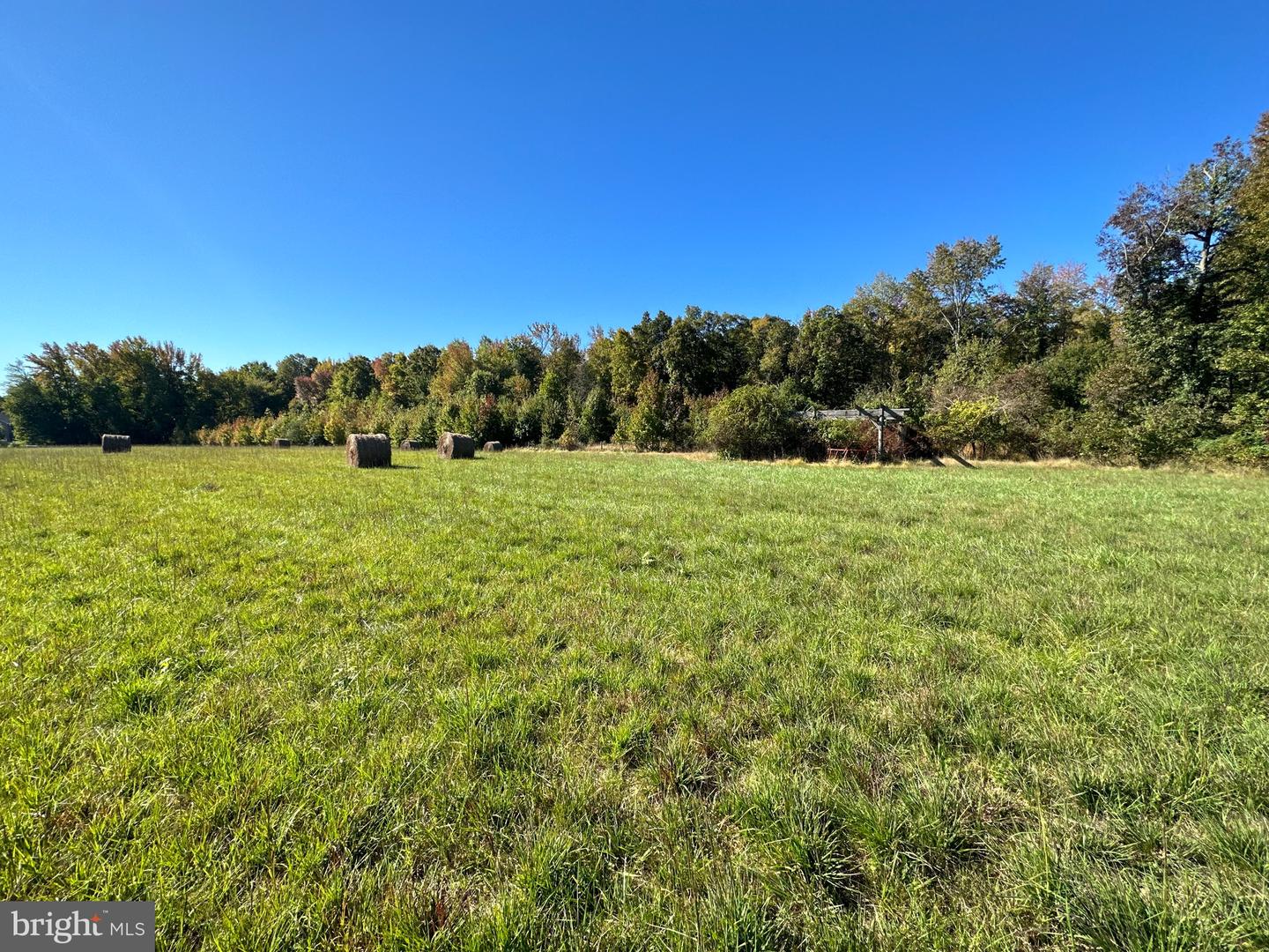 1038 Fieldsboro Rd Property Photo 17