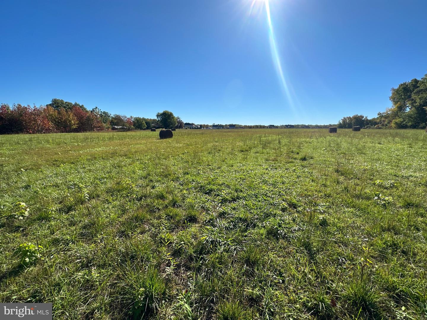 1038 Fieldsboro Rd Property Photo 19