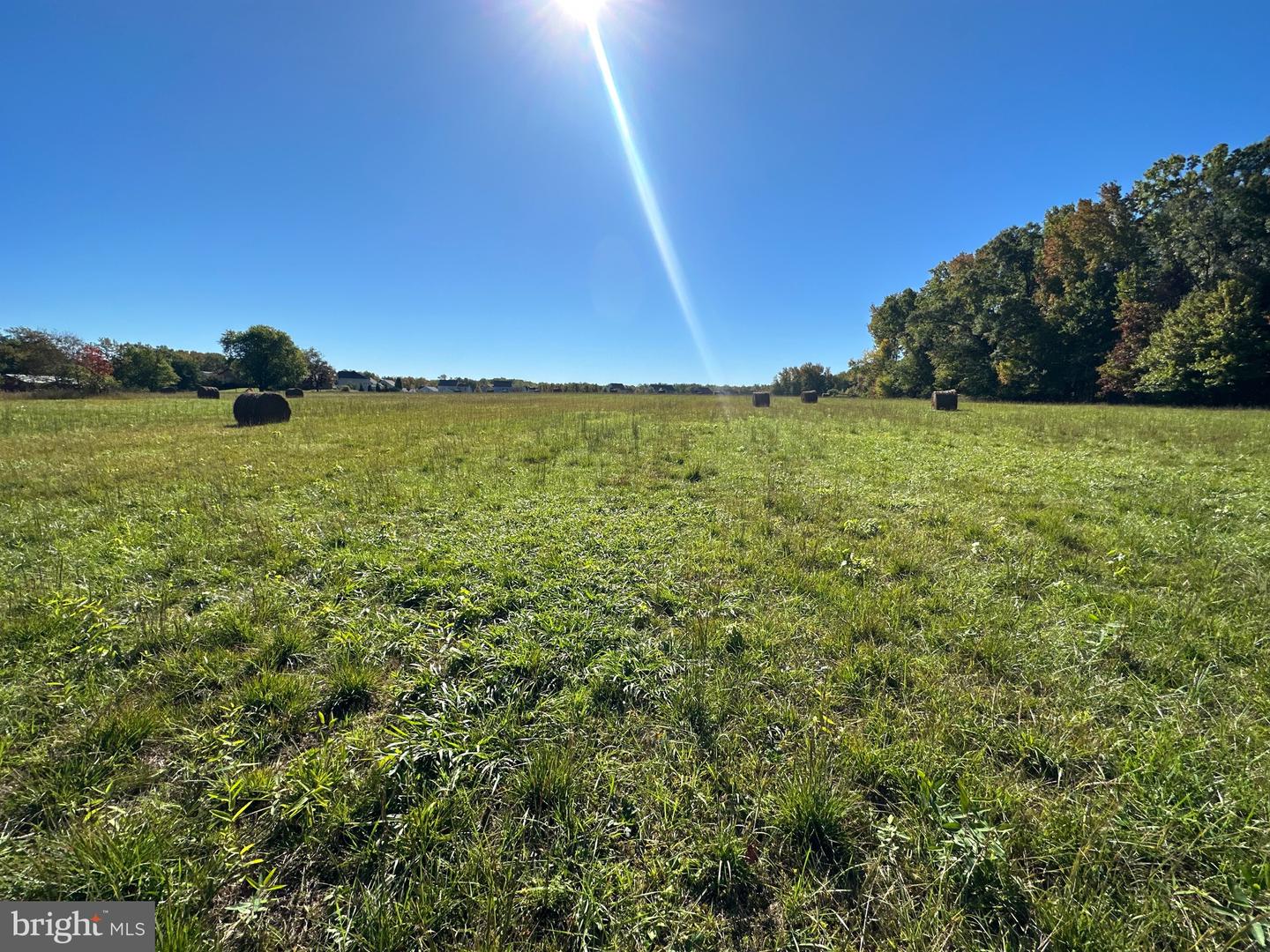 1038 Fieldsboro Rd Property Photo 20