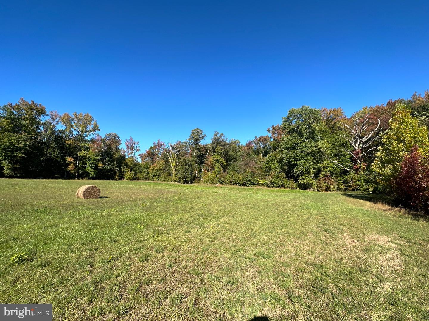 1038 Fieldsboro Rd Property Photo 21