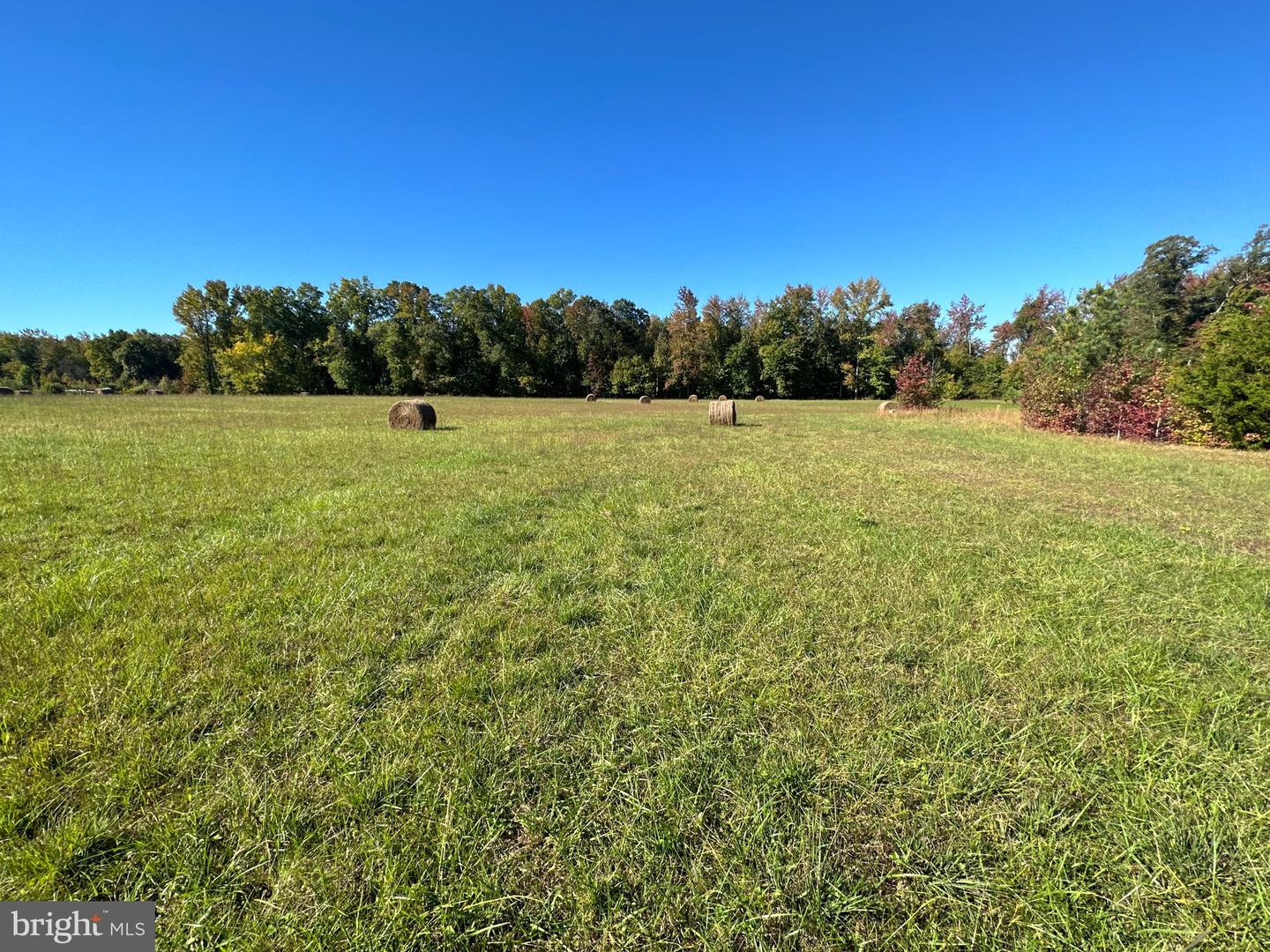 1038 Fieldsboro Rd Property Photo 23