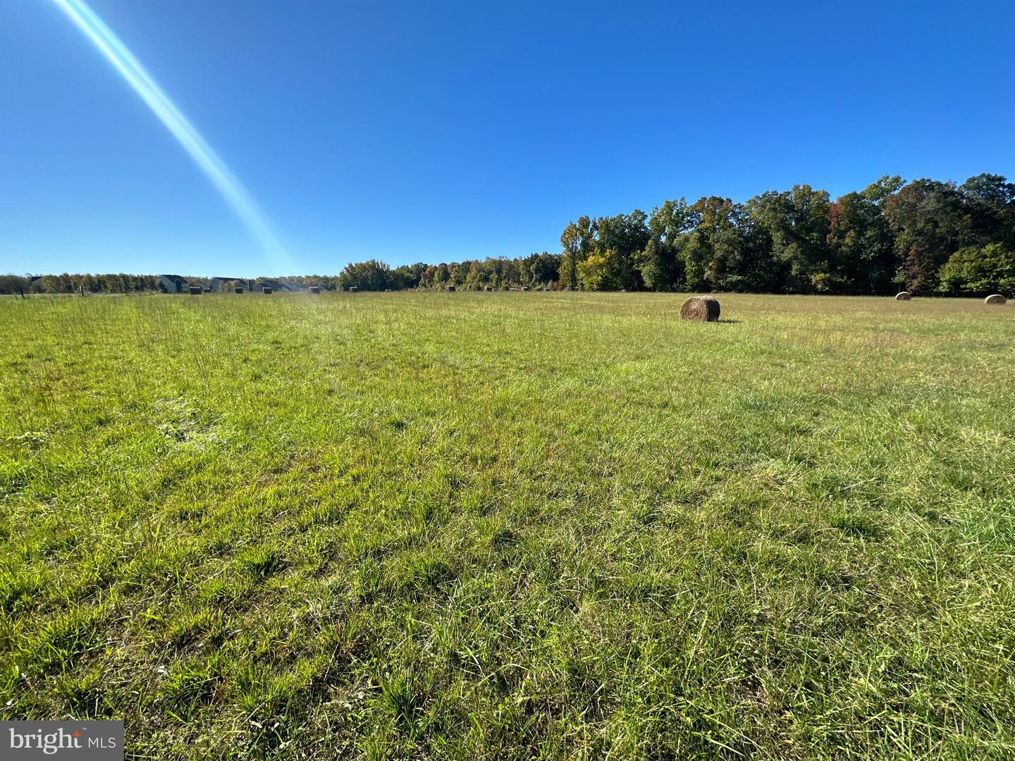 1038 Fieldsboro Rd Property Photo 24
