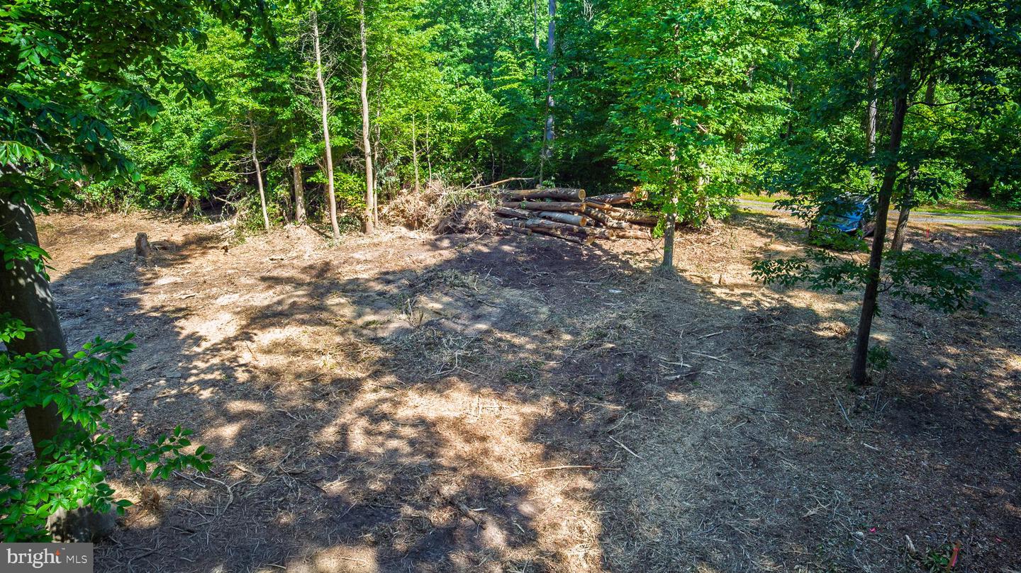 583 Blackbird Landing Rd Property Photo 1