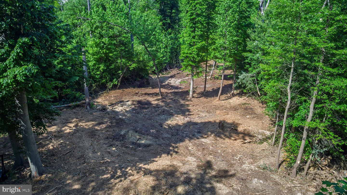 583 Blackbird Landing Rd Property Photo 2