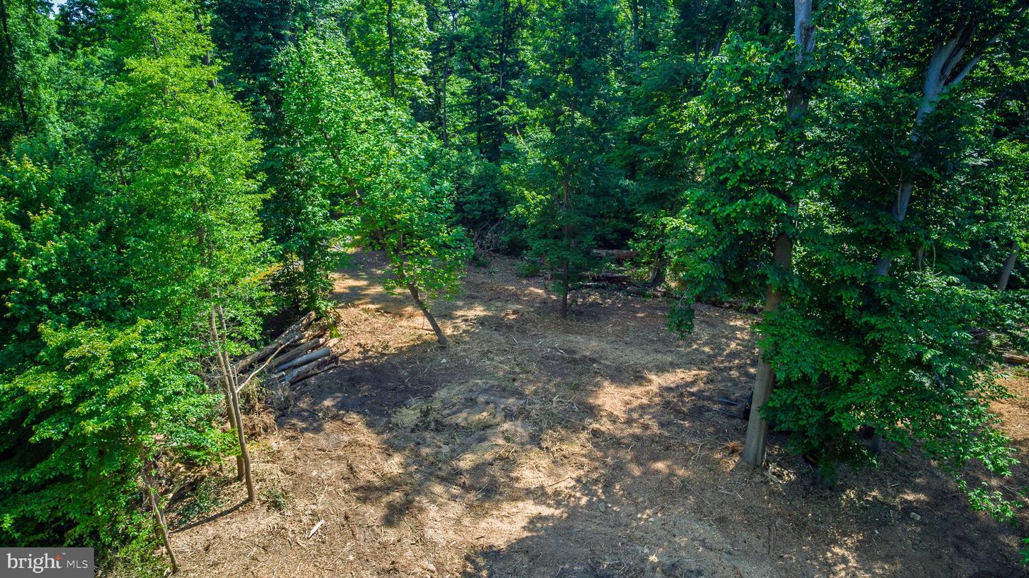 583 Blackbird Landing Rd Property Photo 3