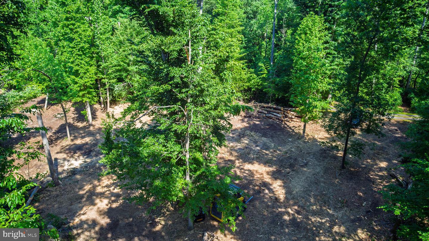 583 Blackbird Landing Rd Property Photo 4