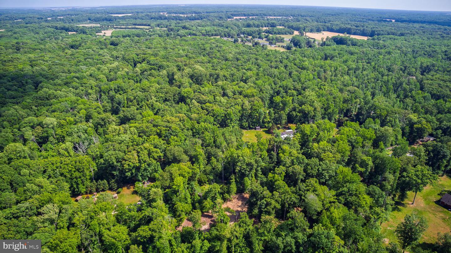583 Blackbird Landing Rd Property Photo 8