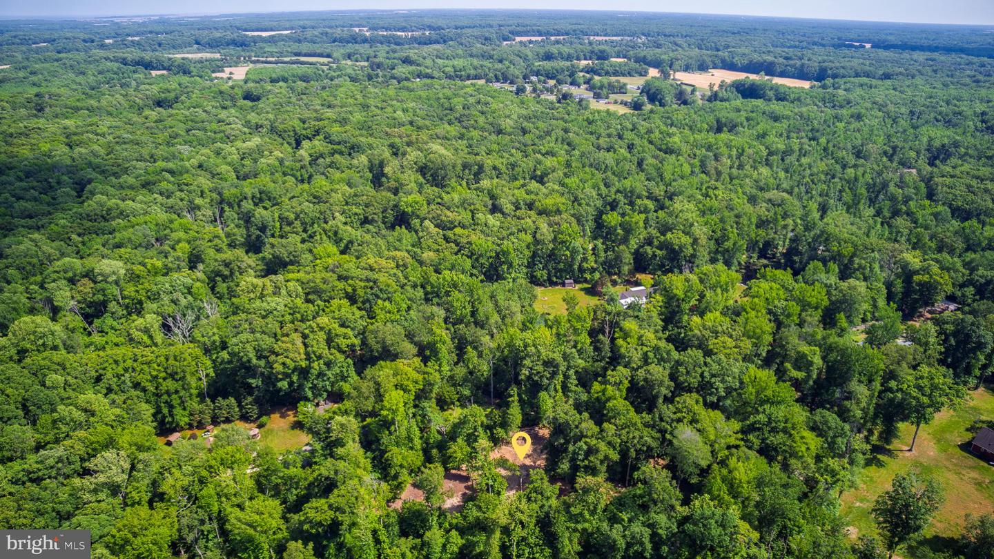 583 Blackbird Landing Rd Property Photo 11