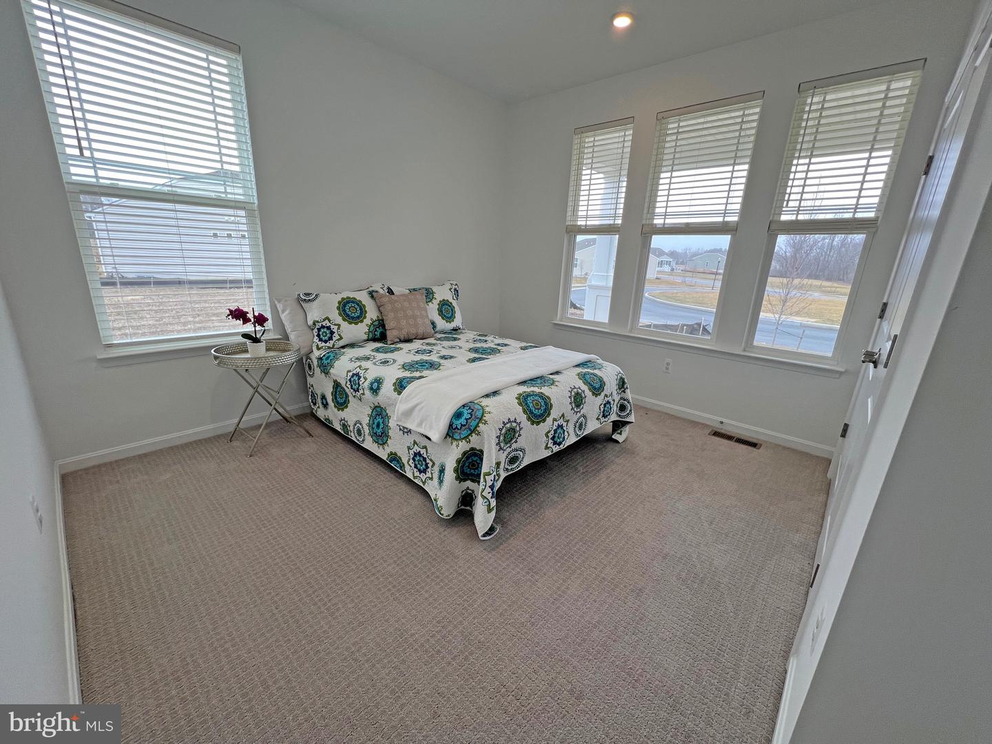114 Austrian Pine Ct Property Photo 31