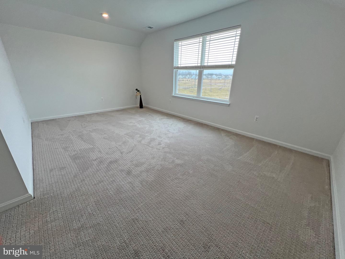 114 Austrian Pine Ct Property Photo 37