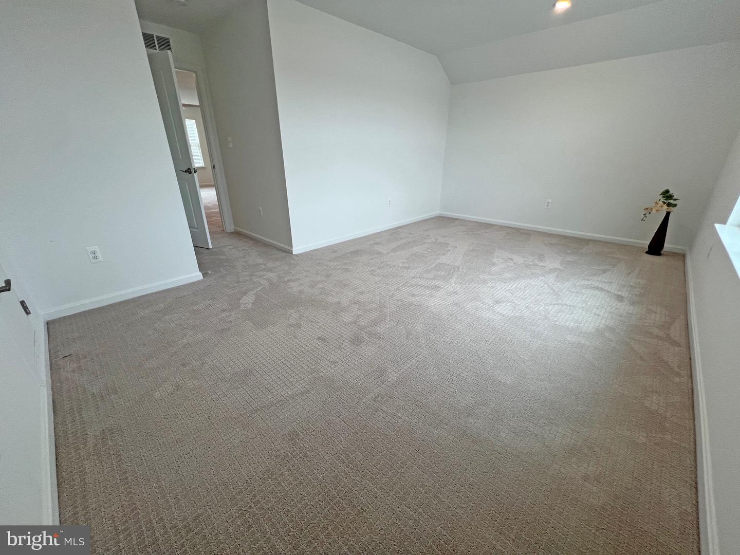 114 Austrian Pine Ct Property Photo 38