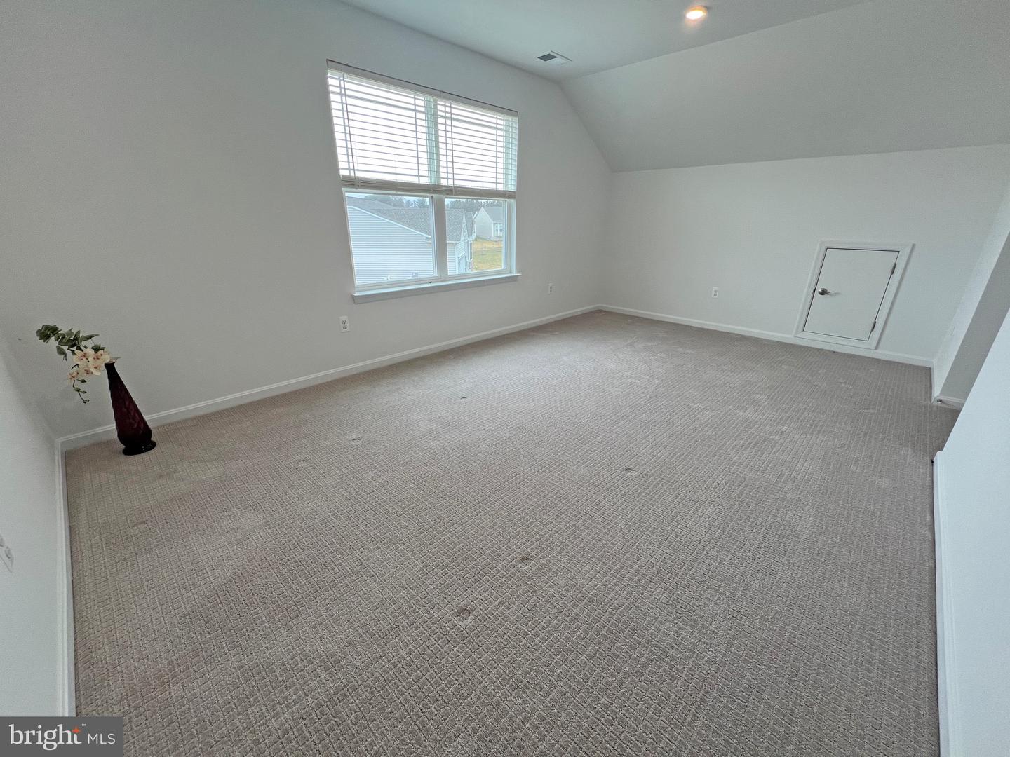 114 Austrian Pine Ct Property Photo 39