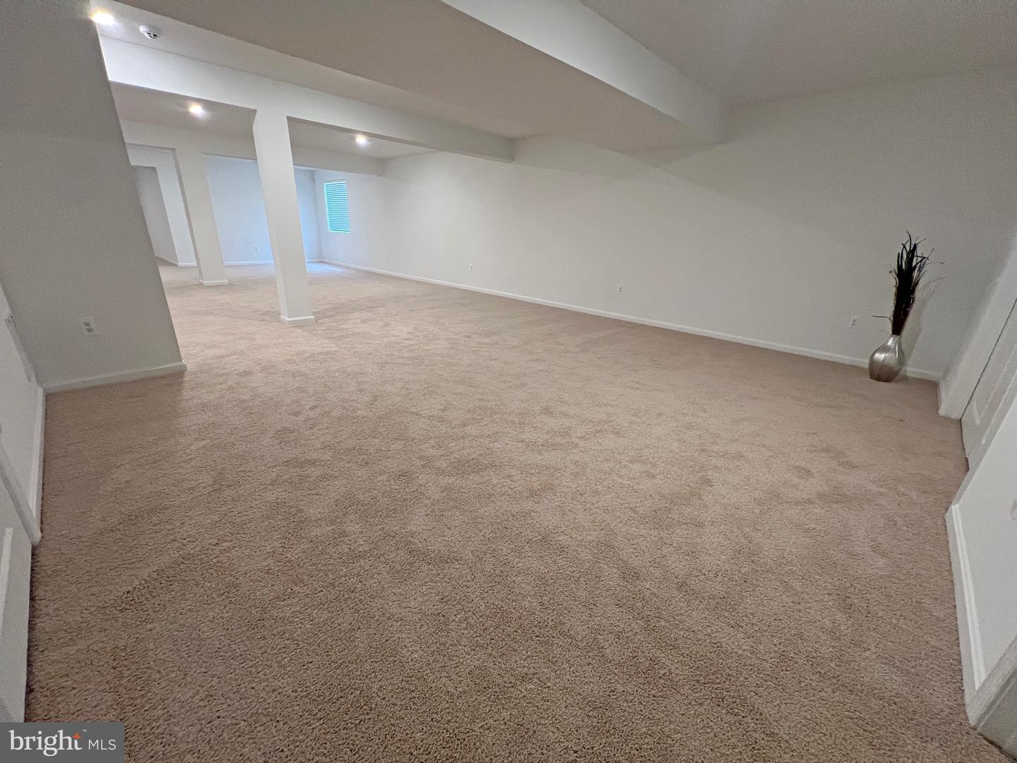 114 Austrian Pine Ct Property Photo 43